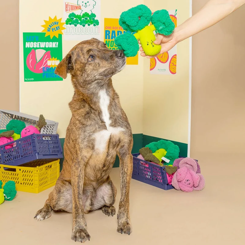 Hundespielzeug, Broccoli