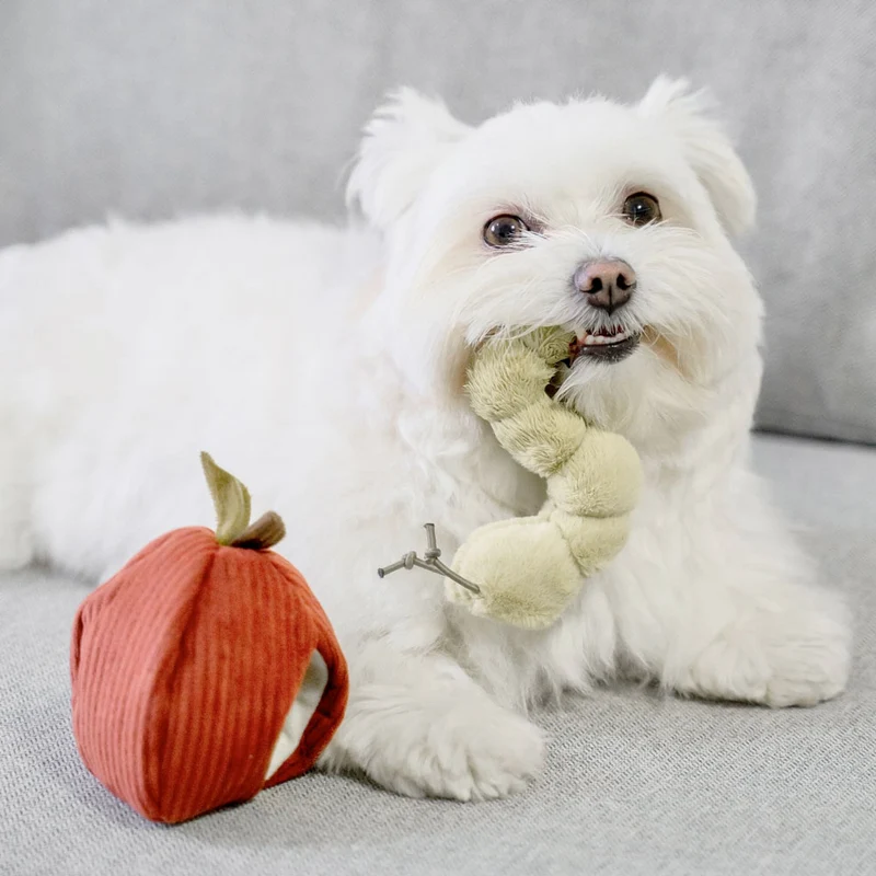 Schnüffelspielzeug APPLE