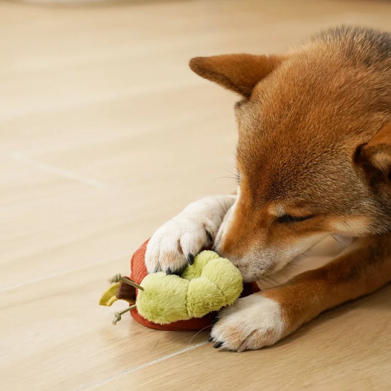Schnüffelspielzeug APPLE
