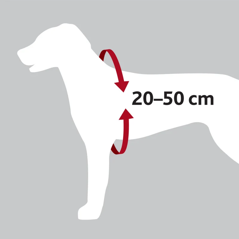 Autogeschirr für Hunde mit Anschnallgurt