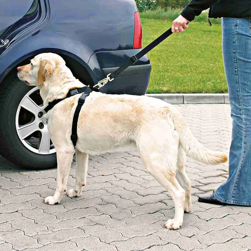 Autogeschirr für Hunde mit Anschnallgurt