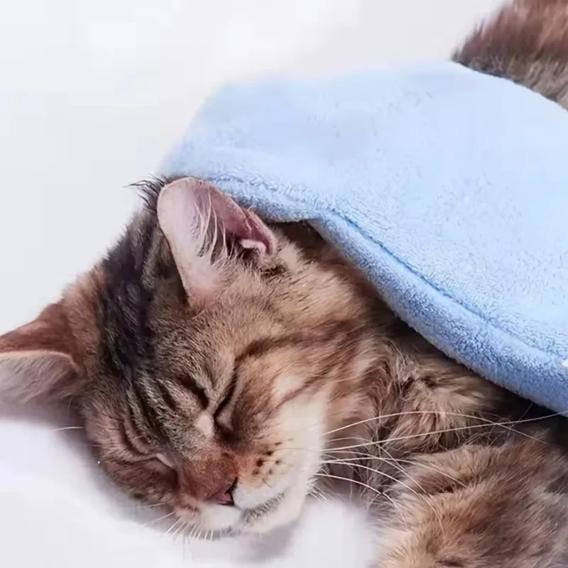 Tierpflege-Microfaserhandschuh – Trockenbadetuch & Fellreinigung für Katzen