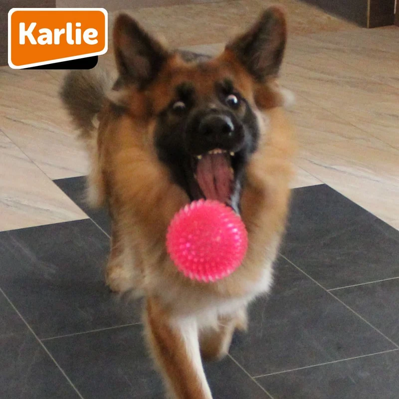 Karlie Ball SPIKE - Hundespiel Apportierspiel Spielzeug TPR Igelball Gummiball
