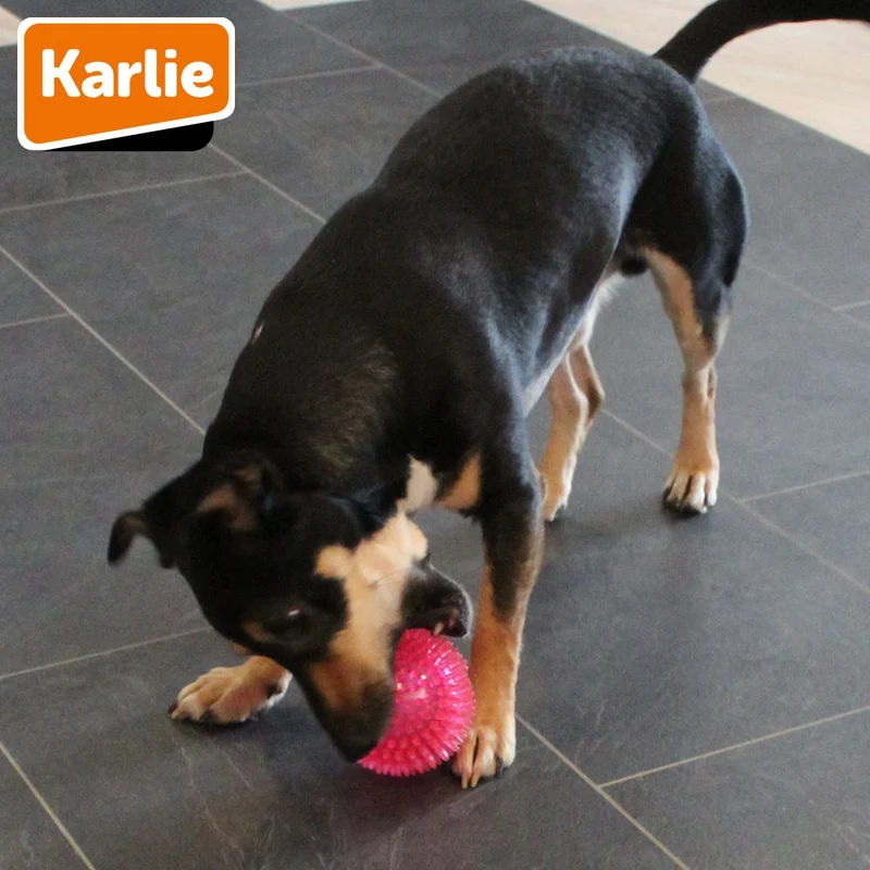 Karlie Ball SPIKE - Hundespiel Apportierspiel Spielzeug TPR Igelball Gummiball