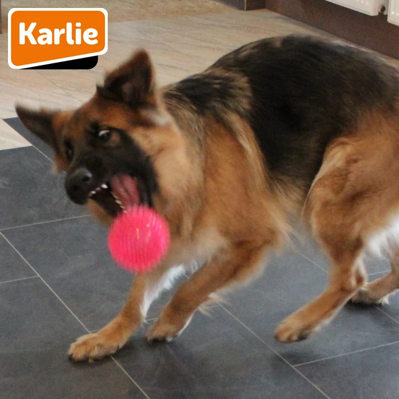 Karlie Ball SPIKE - Hundespiel Apportierspiel Spielzeug TPR Igelball Gummiball