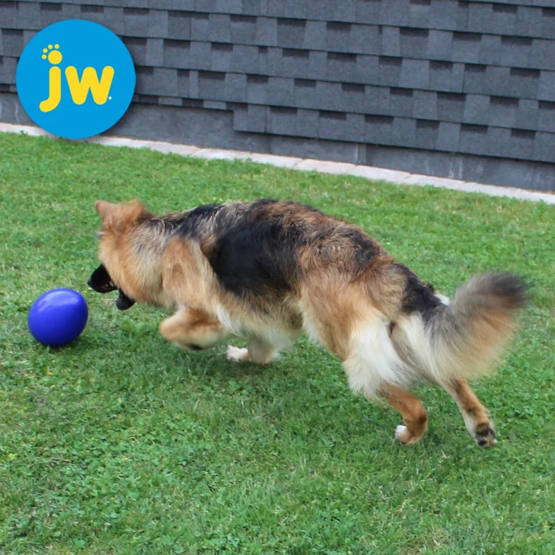 JW Mega Egg - Treibei für Hunde - Spielei Treibball Apportierspiel Hundespiel