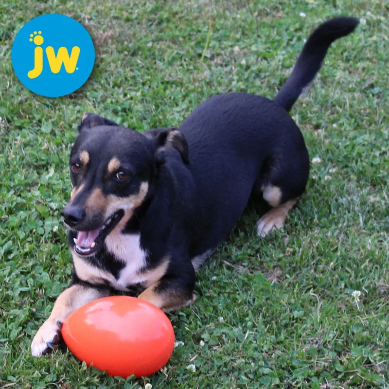 JW Mega Egg - Treibei für Hunde - Spielei Treibball Apportierspiel Hundespiel