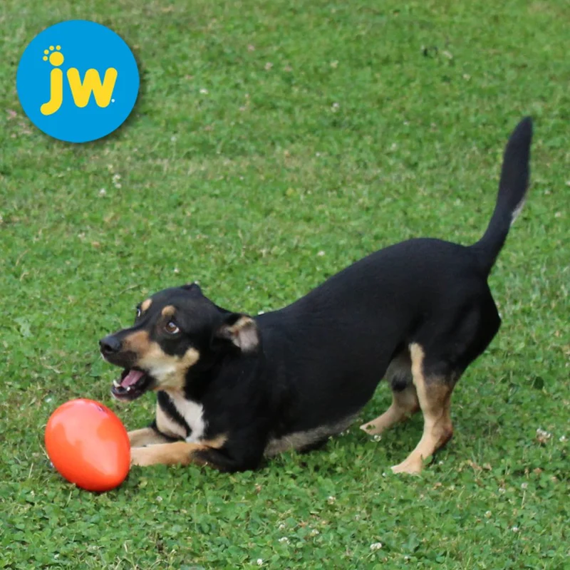 JW Mega Egg - Treibei für Hunde - Spielei Treibball Apportierspiel Hundespiel