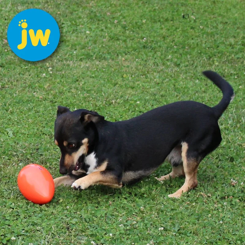 JW Mega Egg - Treibei für Hunde - Spielei Treibball Apportierspiel Hundespiel