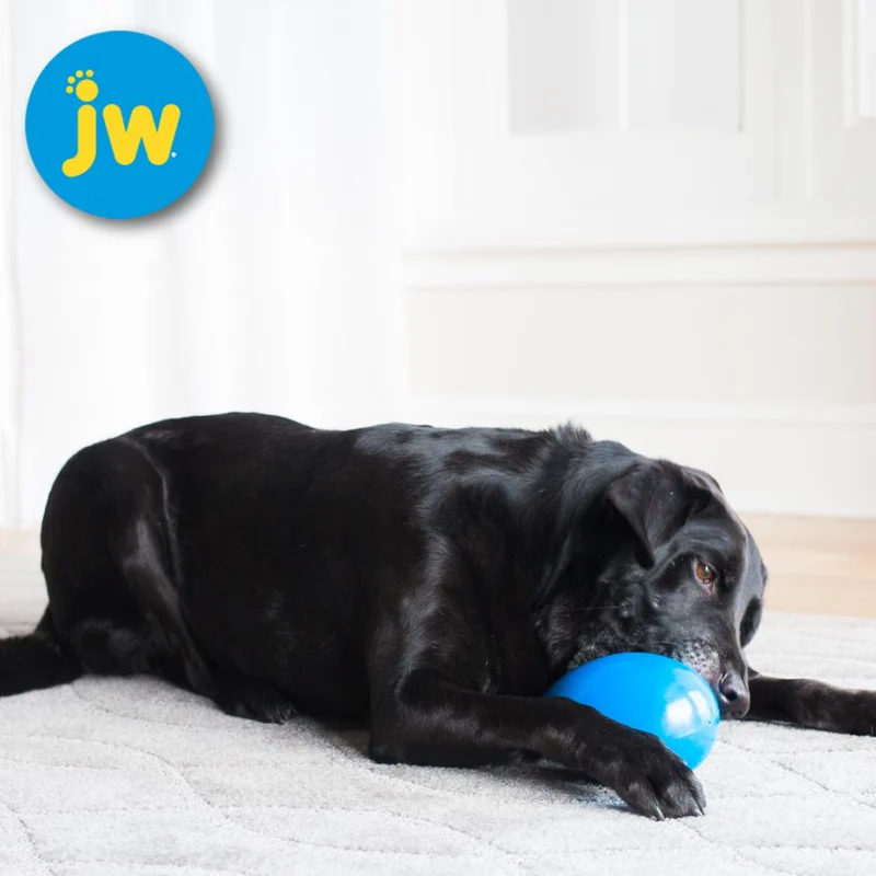 JW Mega Egg - Treibei für Hunde - Spielei Treibball Apportierspiel Hundespiel