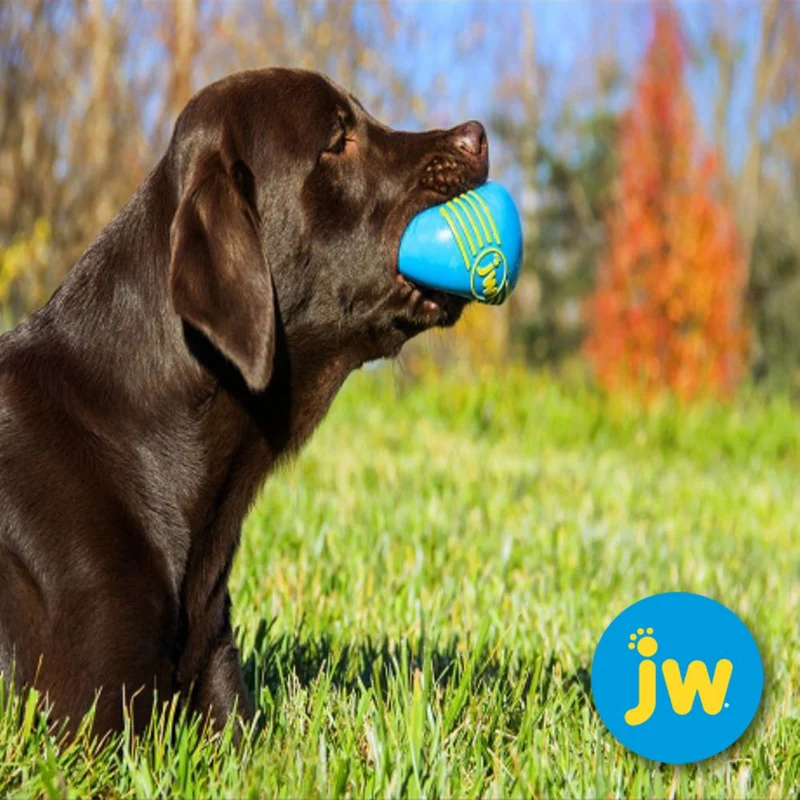 JW Isqueak Ball - S/M/L - Apportierspielzeug Hundespielzeug mit Quietschie
