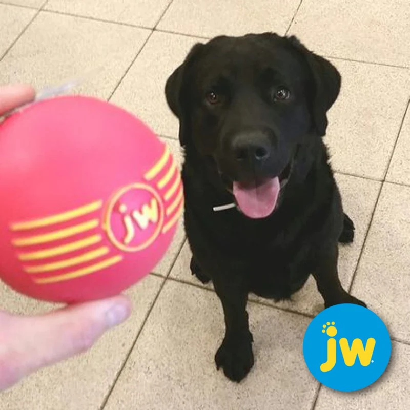 JW Isqueak Ball - S/M/L - Apportierspielzeug Hundespielzeug mit Quietschie