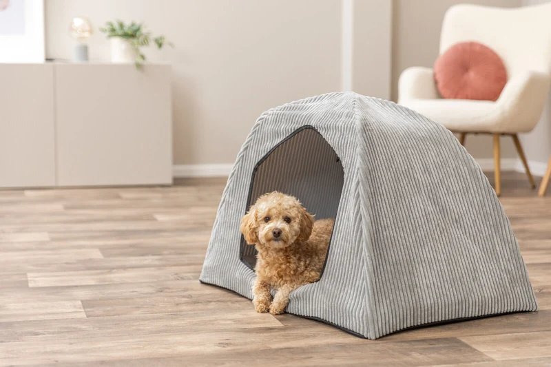 Orthopädische Hundehöhle Jonna