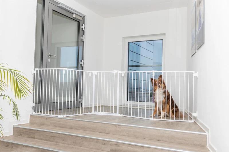 Hunde-Absperrgitter mit Tür, 5-teilig