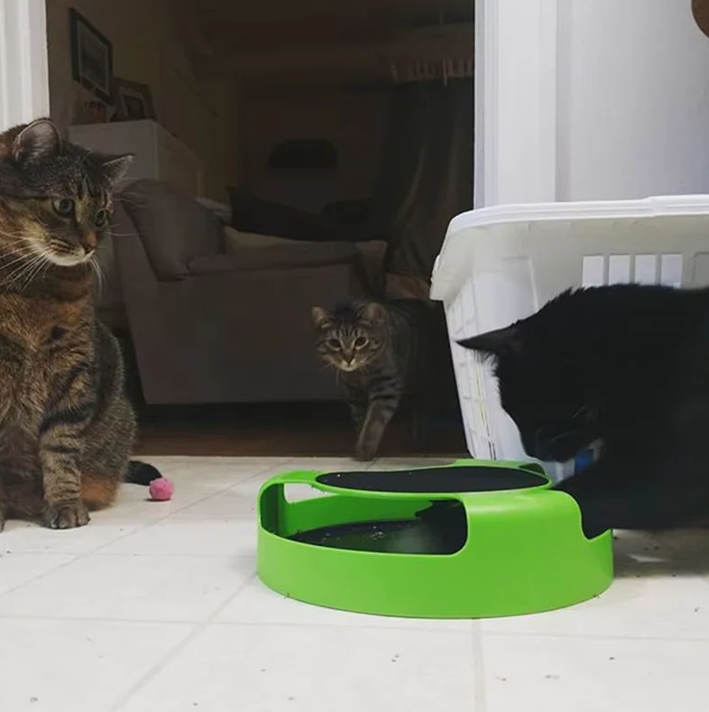Interaktives Katzenspielzeug mit Maus – Spielzeug mit Beweglicher Maus für Katzen