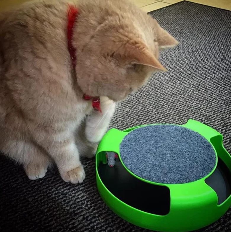 Interaktives Katzenspielzeug mit Maus – Spielzeug mit Beweglicher Maus für Katzen