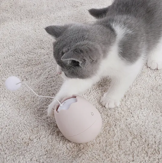 Interaktives Katzenspielzeug In Eiform – Spielzeug mit beweglichem Ball für Katzen