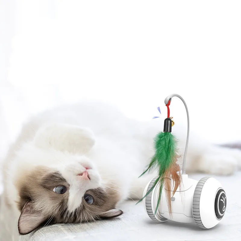 Interaktives Katzenspielzeug mit Feder – Roboter Spielzeug für Katzen