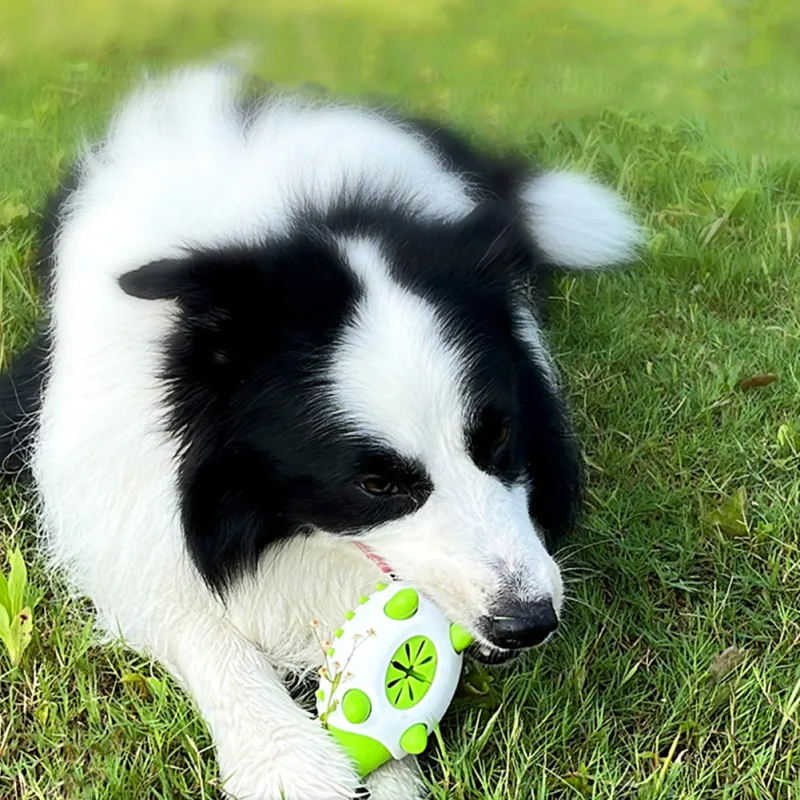 Hundespielzeug Mit Leckerli-spender – Interaktives Kauspielzeug Für Hunde