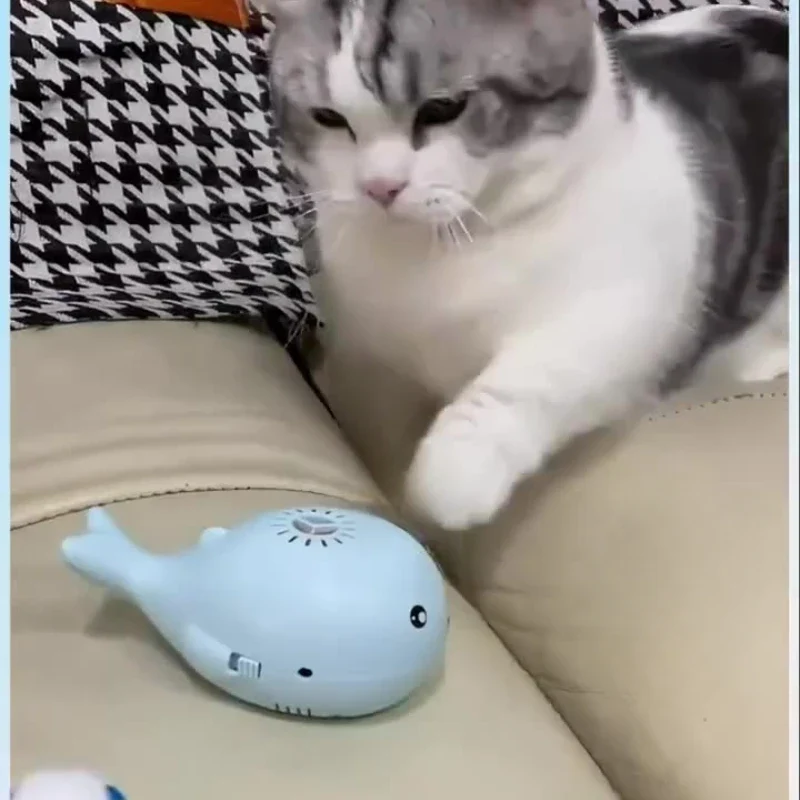 Interaktives Luftball Spielzeug Für Katzen