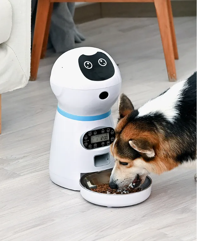 Automatischer Futterspender Für Hunde Mit Digitalanzeige