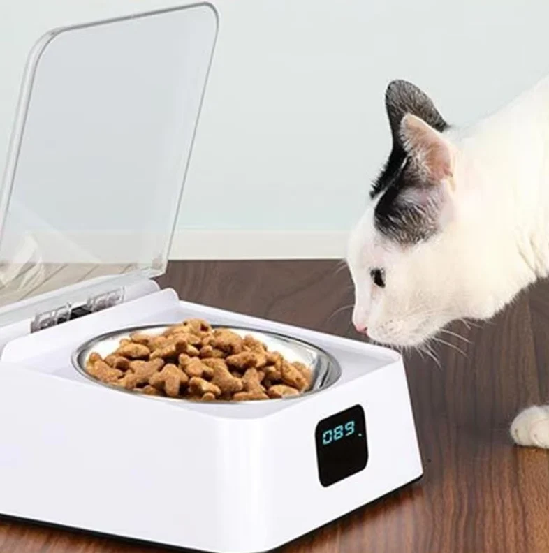 Automatischer Futterspender Für Katzen Mit Digitalanzeige Und Deckel