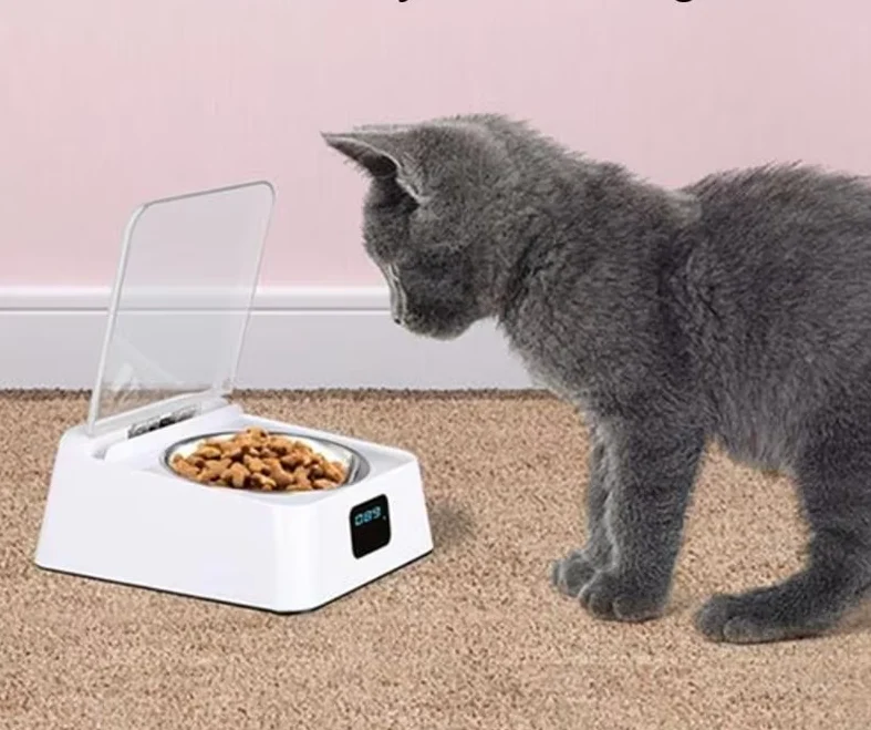 Automatischer Futterspender Für Katzen Mit Digitalanzeige Und Deckel