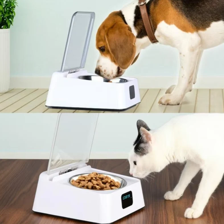Automatischer Futterspender Für Katzen Mit Digitalanzeige Und Deckel
