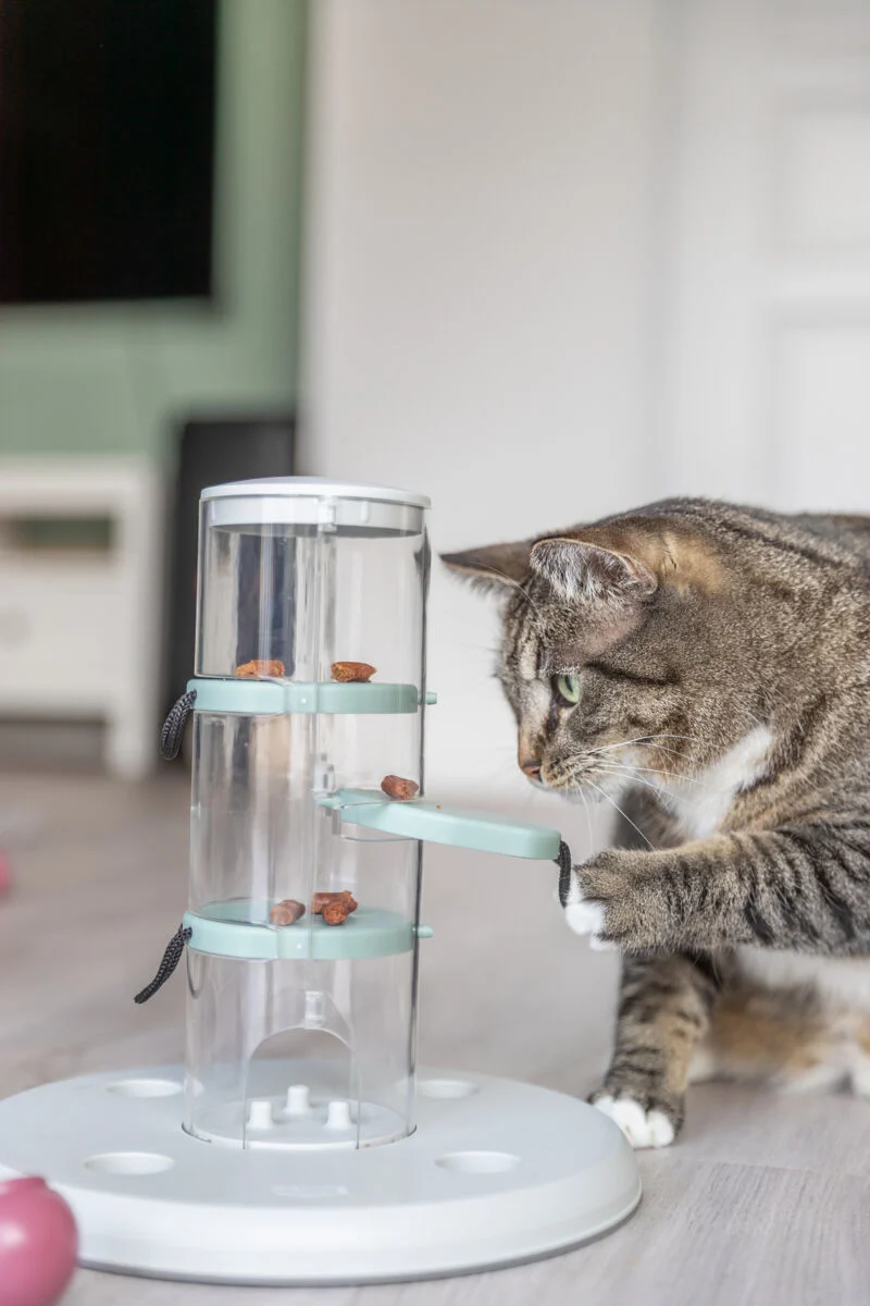 Beschäftigungsspielzeug Gambling Tower für Katzen mit Elementen zum Ziehen und Umwerfen