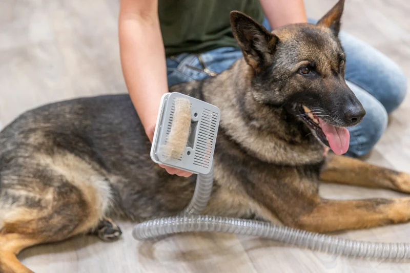 Grooming Kit