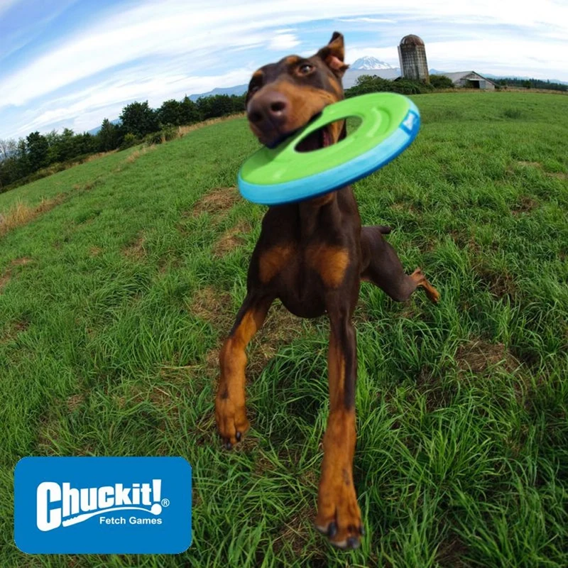 Chuckit! Zipflight - Wurfscheibe - Apportierspielzeug Flyer Hundespielzeug