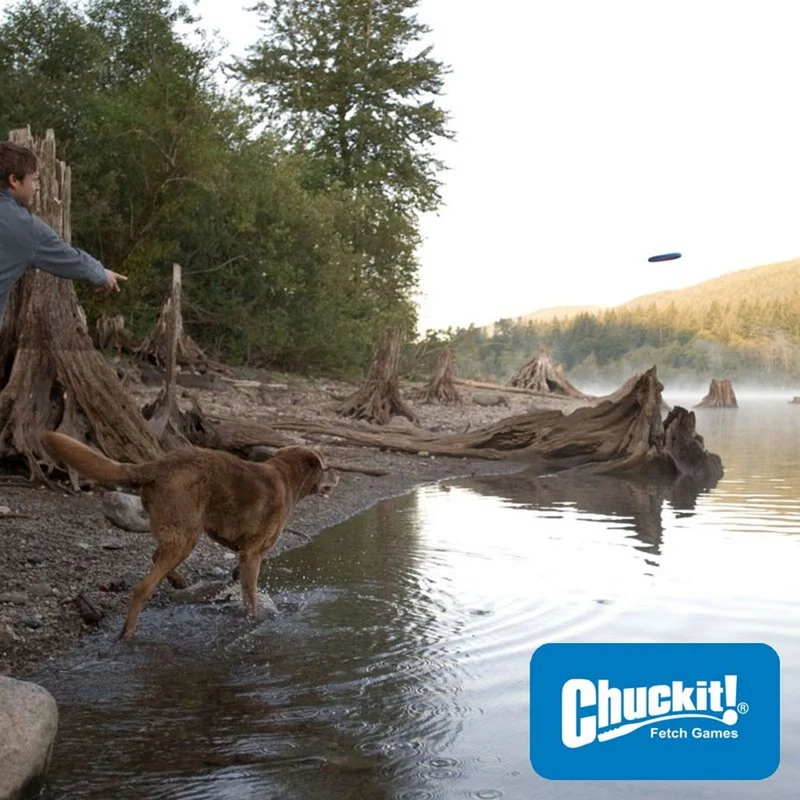 Chuckit! Zipflight - Wurfscheibe - Apportierspielzeug Flyer Hundespielzeug