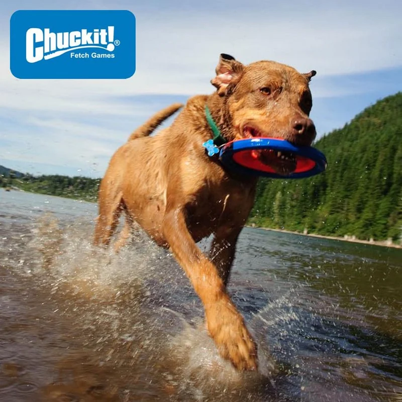 Chuckit! Zipflight - Wurfscheibe - Apportierspielzeug Flyer Hundespielzeug
