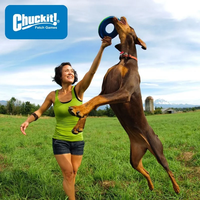 Chuckit! Zipflight - Wurfscheibe - Apportierspielzeug Flyer Hundespielzeug