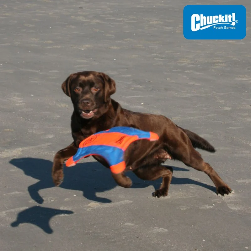 Chuckit! Flying Squirrel M - Apportierspielzeug Wurfscheibe Wurfspiel - schwimmt