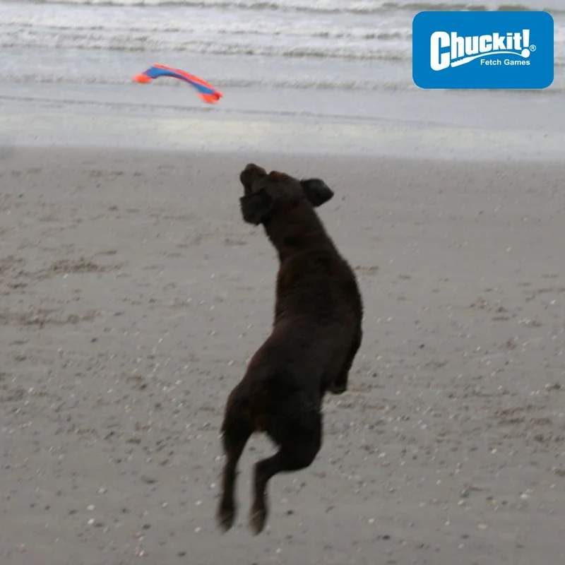 Chuckit! Flying Squirrel M - Apportierspielzeug Wurfscheibe Wurfspiel - schwimmt