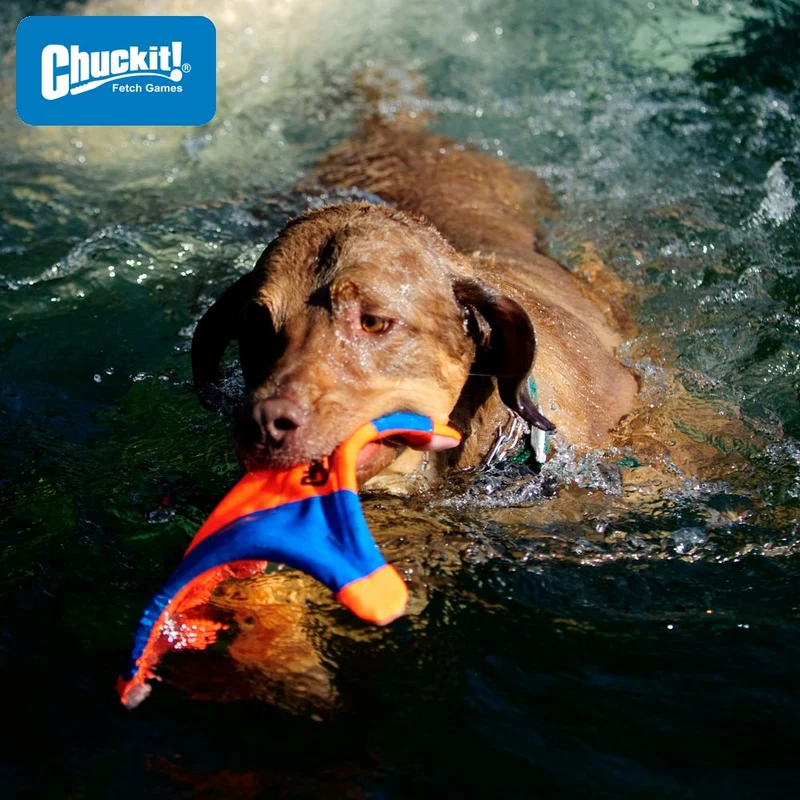Chuckit! Flying Squirrel M - Apportierspielzeug Wurfscheibe Wurfspiel - schwimmt