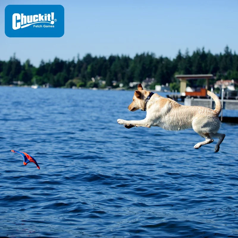 Chuckit! Flying Squirrel M - Apportierspielzeug Wurfscheibe Wurfspiel - schwimmt