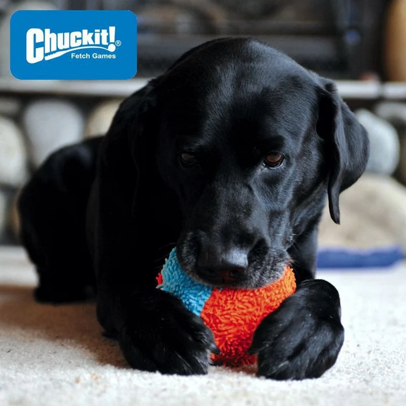 Chuckit! Indoor Shaker - Apportierspielzeug für drinnen - Wurfspiel Ball Hund