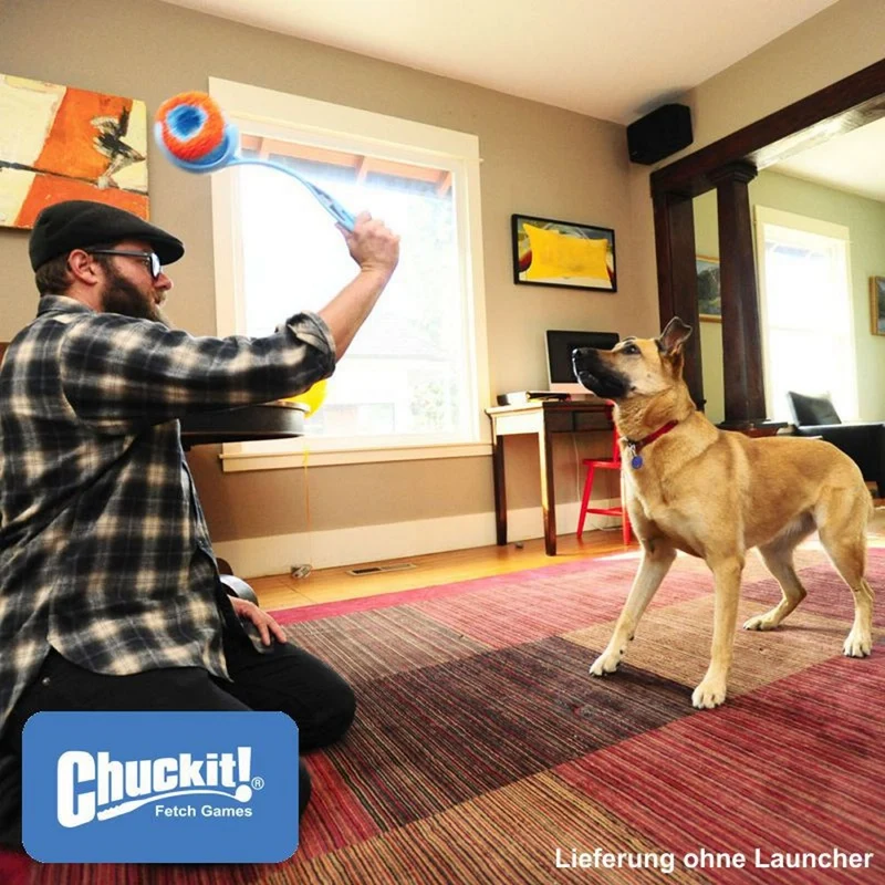 Chuckit! Indoor Roller - Apportierspielzeug für drinnen - Wurfspiel Ball Hund