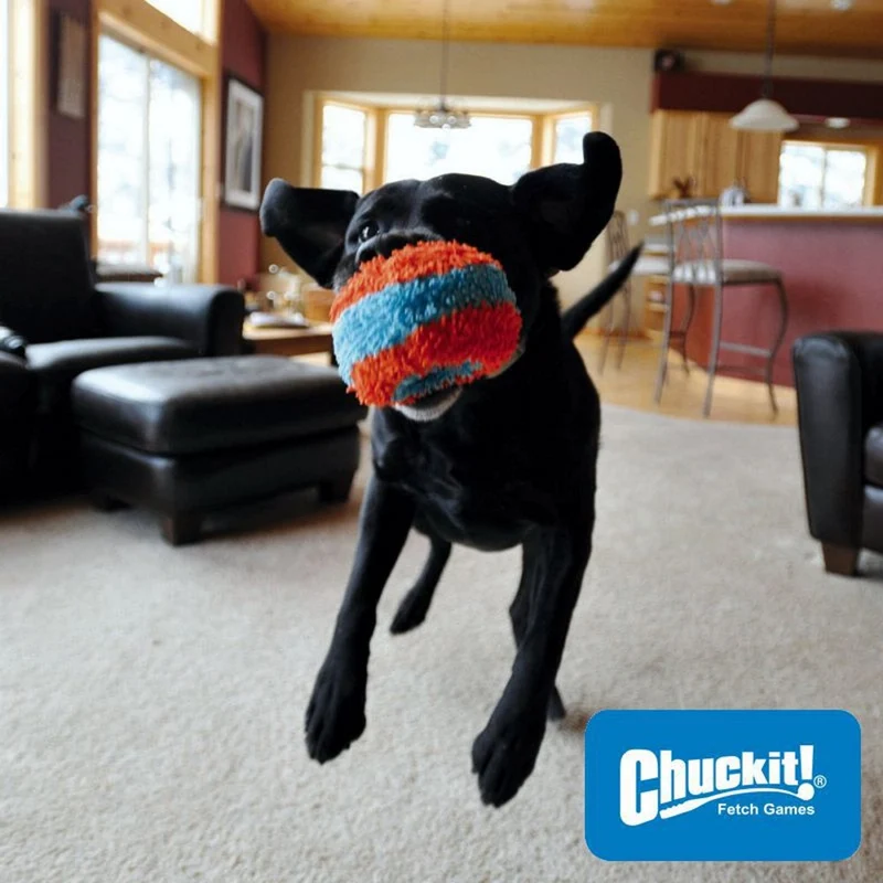 Chuckit! Indoor Roller - Apportierspielzeug für drinnen - Wurfspiel Ball Hund