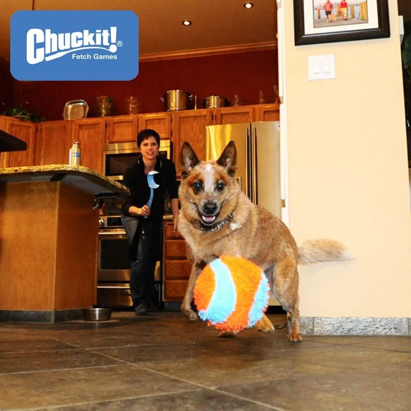 Chuckit! Indoor Ball - Apportierspielzeug für drinnen - Wurfspiel Hundespiel