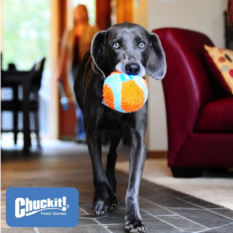 Chuckit! Indoor Ball - Apportierspielzeug für drinnen - Wurfspiel Hundespiel
