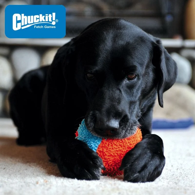 Chuckit! Indoor Ball - Apportierspielzeug für drinnen - Wurfspiel Hundespiel