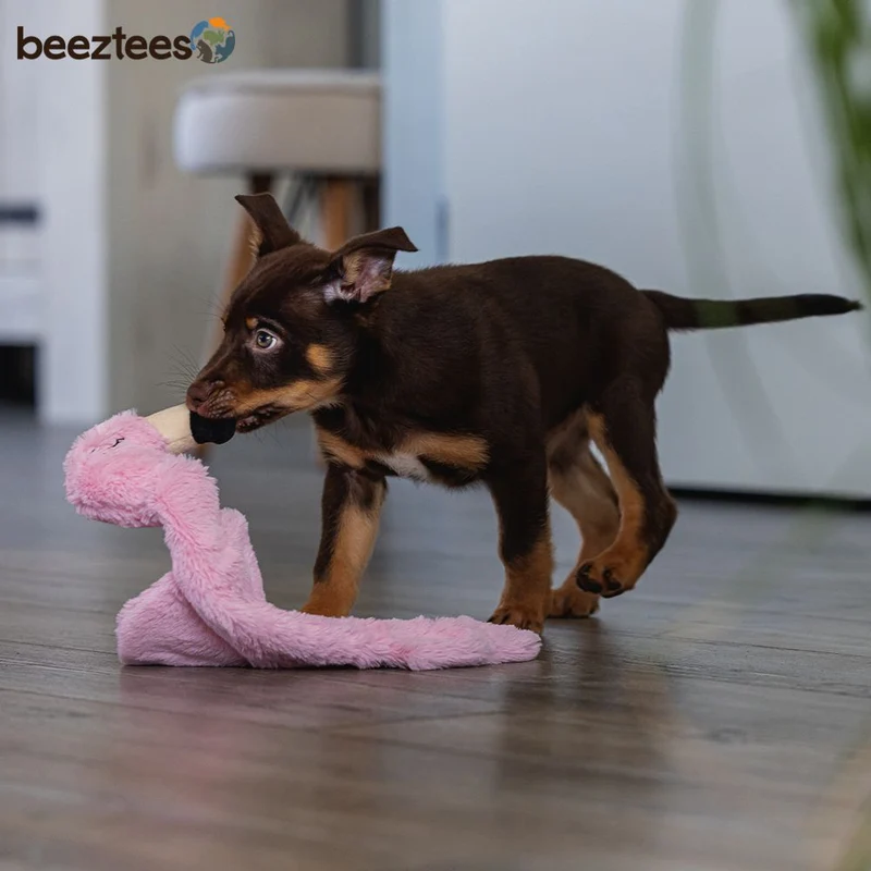 Beeztees Plüsch-Welpenspielzeug Flatino - FLAMINGO FE - Puppy Plüschspielzeug