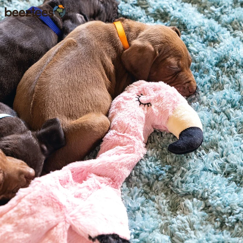 Beeztees Plüsch-Welpenspielzeug Flatino - FLAMINGO FE - Puppy Plüschspielzeug
