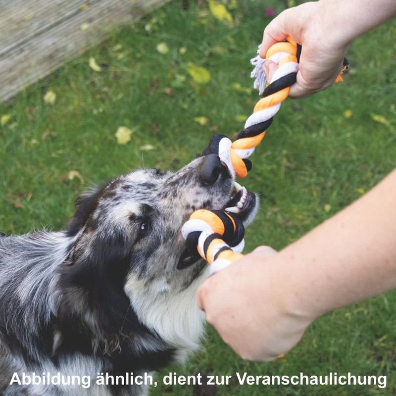 Beeztees Knotenseil mit Handschlaufe - Baumwoll-Seil Zerrspiel Spieltau Kauseil