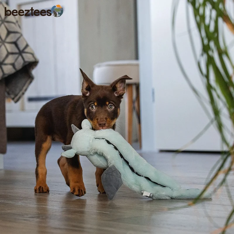 Beeztees Plüsch-Welpenspielzeug Flatino - DRACHEN YI - Puppy Plüschspielzeug