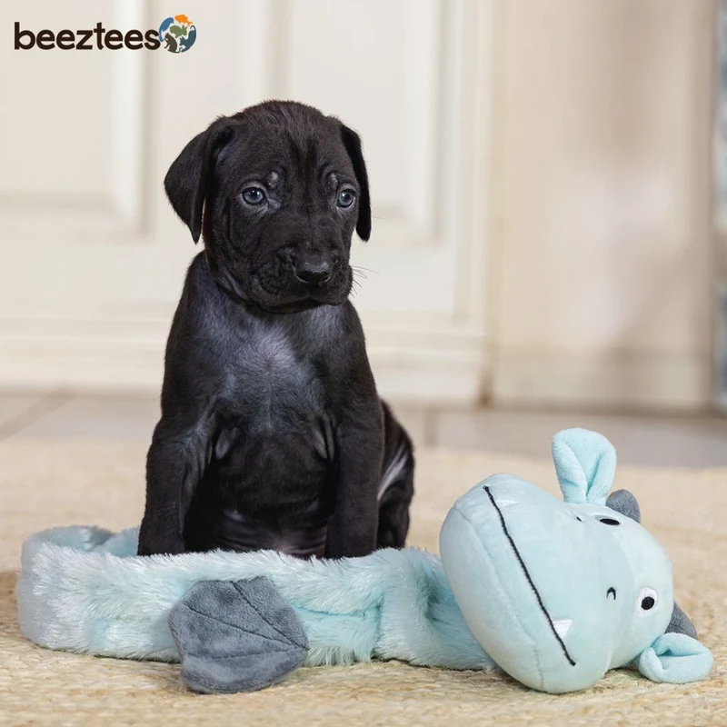 Beeztees Plüsch-Welpenspielzeug Flatino - DRACHEN YI - Puppy Plüschspielzeug