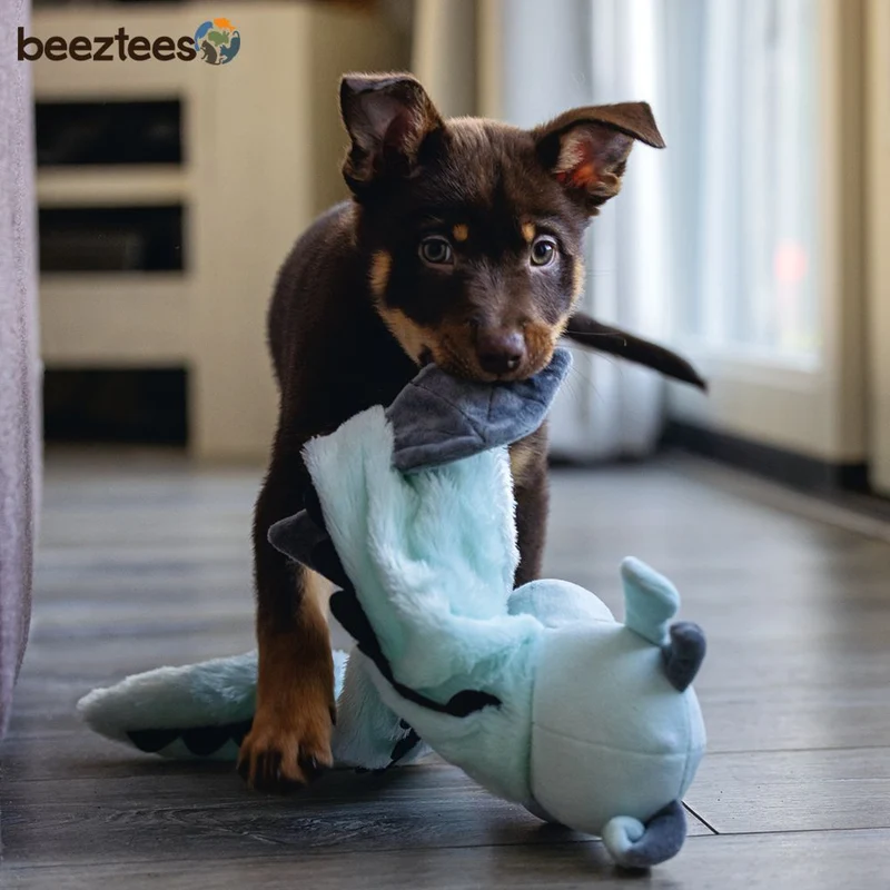 Beeztees Plüsch-Welpenspielzeug Flatino - DRACHEN YI - Puppy Plüschspielzeug